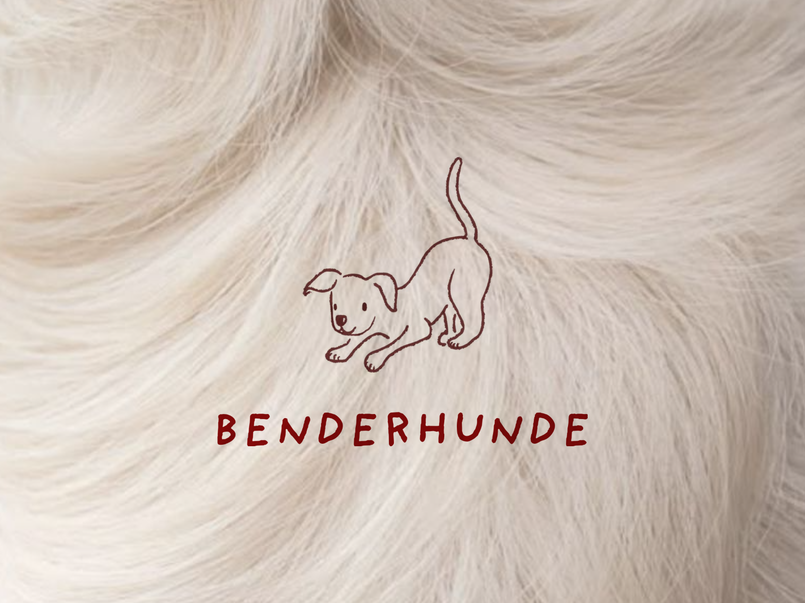 Benderhunde